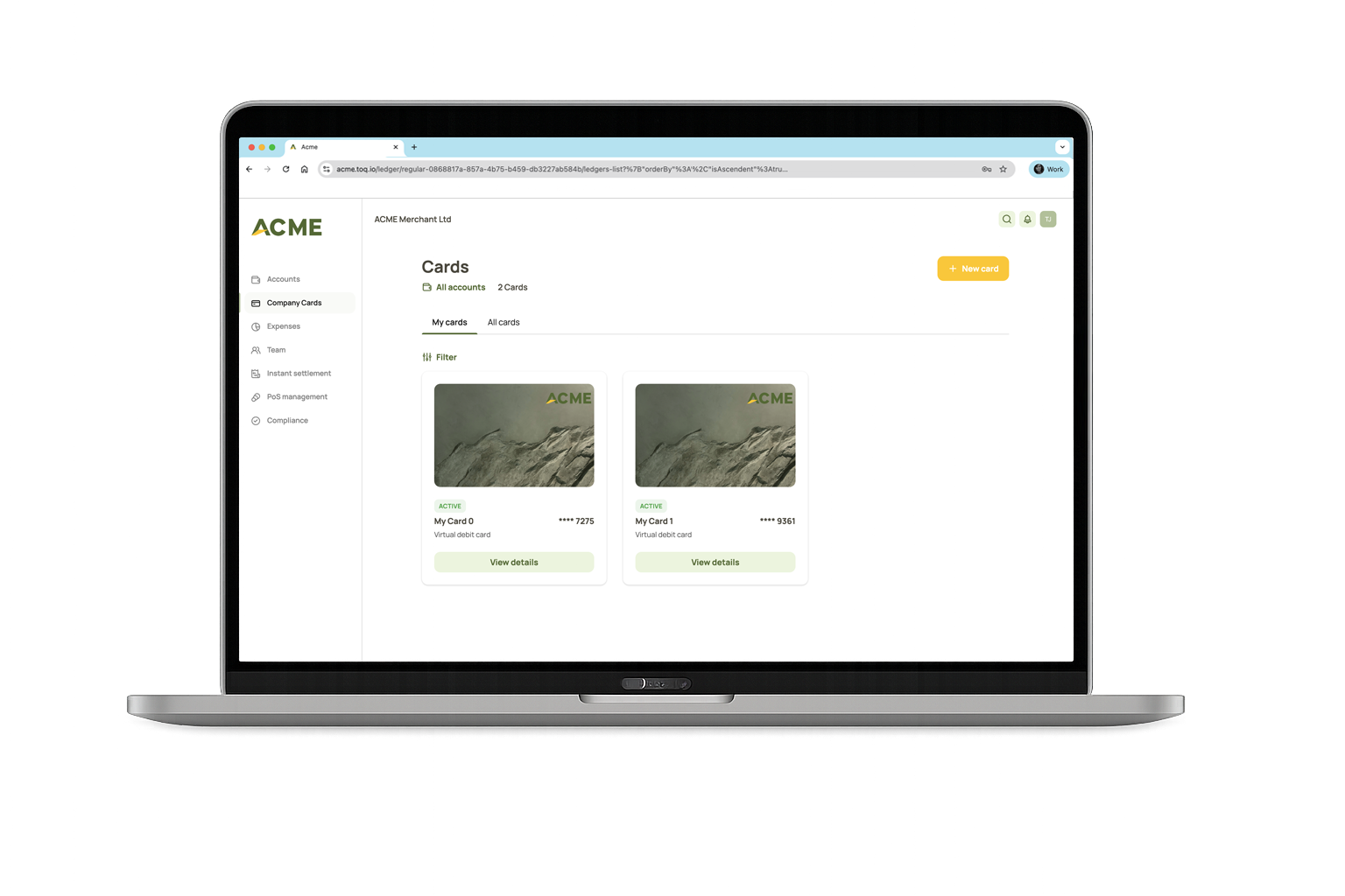 Toqio laptop ACME cards